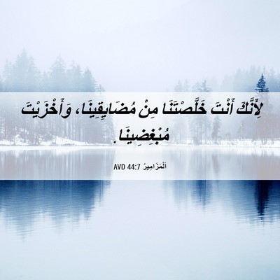 Picture 06 - اَلْمَزَامِيرُ 44:7 AVD - لِأَنَّكَ أَنْتَ - Bible Verse Picture