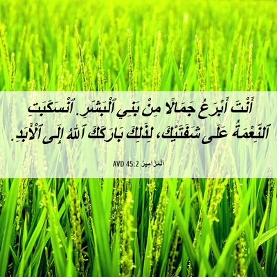 Picture 06 - اَلْمَزَامِيرُ 45:2 AVD - أَنْتَ أَبْرَعُ جَمَالًا - Bible Verse Picture