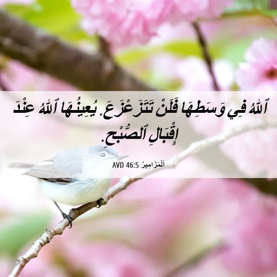 Picture 06 - اَلْمَزَامِيرُ 46:5 AVD - ٱللهُ فِي وَسَطِهَا فَلَنْ - Bible Verse Picture