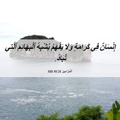 Picture 06 - اَلْمَزَامِيرُ 49:20 AVD - إِنْسَانٌ فِي كَرَامَةٍ - Bible Verse Picture