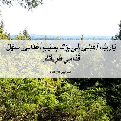Picture 06 - اَلْمَزَامِيرُ 5:8 AVD - يَارَبُّ، ٱهْدِنِي إِلَى - Bible Verse Picture