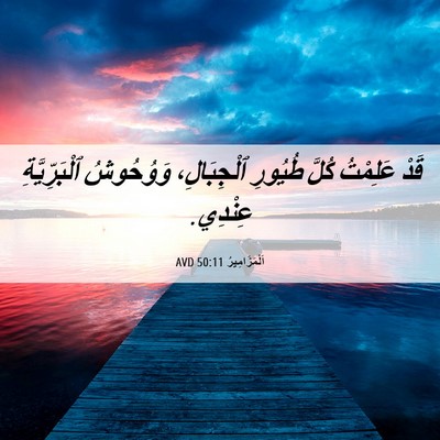 Picture 06 - اَلْمَزَامِيرُ 50:11 AVD - قَدْ عَلِمْتُ كُلَّ - Bible Verse Picture