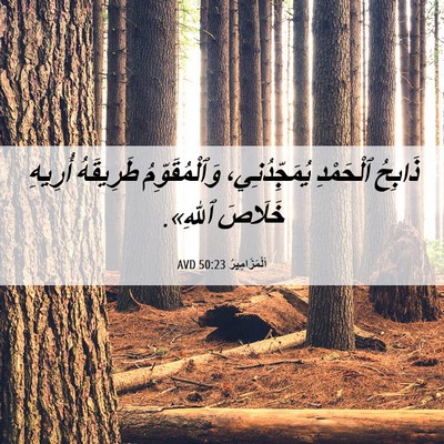 Picture 06 - اَلْمَزَامِيرُ 50:23 AVD - ذَابِحُ ٱلْحَمْدِ - Bible Verse Picture