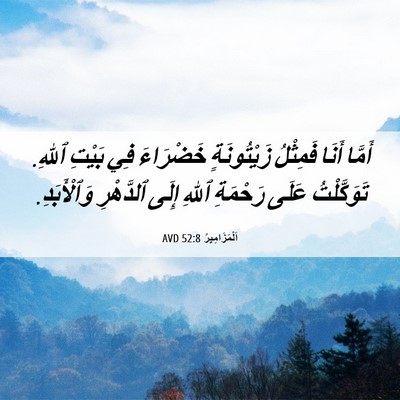Picture 06 - اَلْمَزَامِيرُ 52:8 AVD - أَمَّا أَنَا فَمِثْلُ - Bible Verse Picture