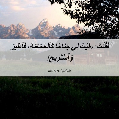 Picture 06 - اَلْمَزَامِيرُ 55:6 AVD - فَقُلْتُ: «لَيْتَ لِي - Bible Verse Picture