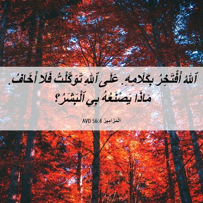 Picture 06 - اَلْمَزَامِيرُ 56:4 AVD - ٱللهُ أَفْتَخِرُ - Bible Verse Picture