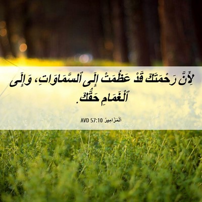 Picture 06 - اَلْمَزَامِيرُ 57:10 AVD - لِأَنَّ رَحْمَتَكَ قَدْ - Bible Verse Picture
