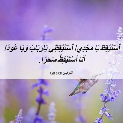 Picture 06 - اَلْمَزَامِيرُ 57:8 AVD - ٱسْتَيْقِظْ يَا مَجْدِي! - Bible Verse Picture