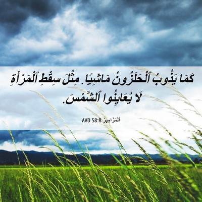 Picture 06 - اَلْمَزَامِيرُ 58:8 AVD - كَمَا يَذُوبُ - Bible Verse Picture