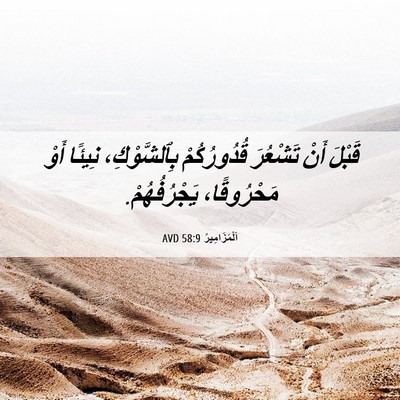 Picture 06 - اَلْمَزَامِيرُ 58:9 AVD - قَبْلَ أَنْ تَشْعُرَ - Bible Verse Picture