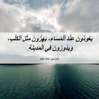 Picture 06 - اَلْمَزَامِيرُ 59:6 AVD - يَعُودُونَ عِنْدَ - Bible Verse Picture