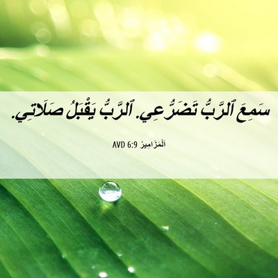 Picture 06 - اَلْمَزَامِيرُ 6:9 AVD - سَمِعَ ٱلرَّبُّ - Bible Verse Picture