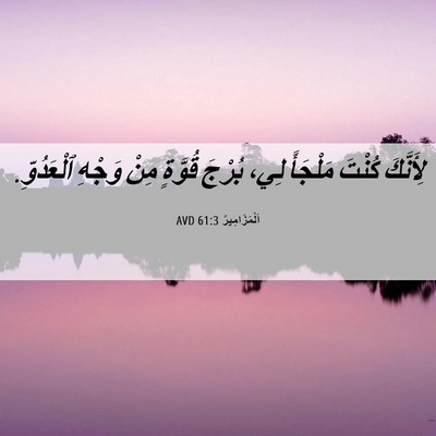 Picture 06 - اَلْمَزَامِيرُ 61:3 AVD - لِأَنَّكَ كُنْتَ مَلْجَأً - Bible Verse Picture