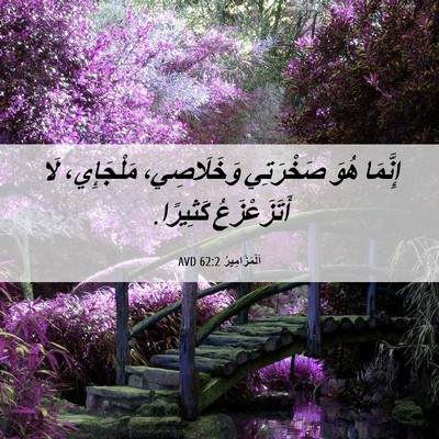 Picture 06 - اَلْمَزَامِيرُ 62:2 AVD - إِنَّمَا هُوَ صَخْرَتِي - Bible Verse Picture