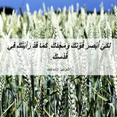 Picture 06 - اَلْمَزَامِيرُ 63:2 AVD - لِكَيْ أُبْصِرَ قُوَّتَكَ - Bible Verse Picture