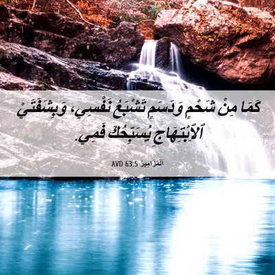 Picture 06 - اَلْمَزَامِيرُ 63:5 AVD - كَمَا مِنْ شَحْمٍ وَدَسَمٍ - Bible Verse Picture