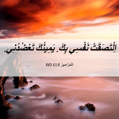 Picture 06 - اَلْمَزَامِيرُ 63:8 AVD - اِلْتَصَقَتْ نَفْسِي بِكَ. - Bible Verse Picture