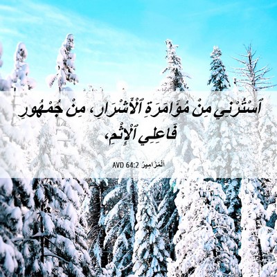 Picture 06 - اَلْمَزَامِيرُ 64:2 AVD - ٱسْتُرْنِي مِنْ - Bible Verse Picture