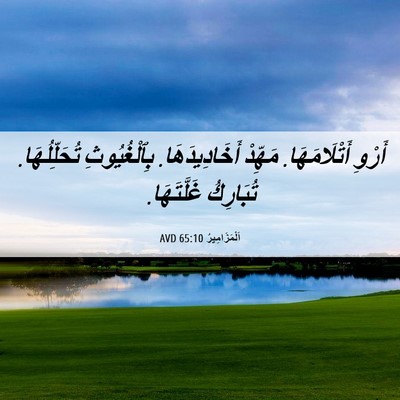 Picture 06 - اَلْمَزَامِيرُ 65:10 AVD - أَرْوِ أَتْلَامَهَا. - Bible Verse Picture