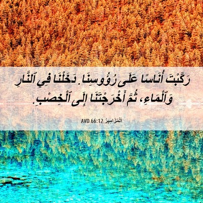 Picture 06 - اَلْمَزَامِيرُ 66:12 AVD - رَكَّبْتَ أُنَاسًا عَلَى - Bible Verse Picture