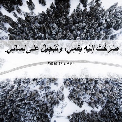 Picture 06 - اَلْمَزَامِيرُ 66:17 AVD - صَرَخْتُ إِلَيْهِ - Bible Verse Picture