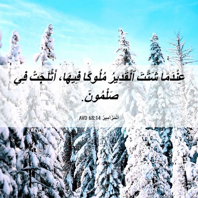 Picture 06 - اَلْمَزَامِيرُ 68:14 AVD - عِنْدَمَا شَتَّتَ - Bible Verse Picture