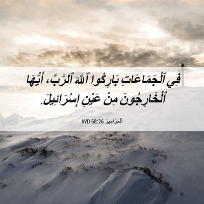 Picture 06 - اَلْمَزَامِيرُ 68:26 AVD - فِي ٱلْجَمَاعَاتِ - Bible Verse Picture