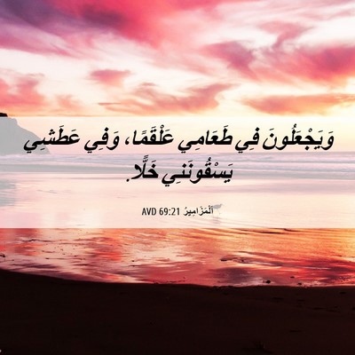 Picture 06 - اَلْمَزَامِيرُ 69:21 AVD - وَيَجْعَلُونَ فِي - Bible Verse Picture