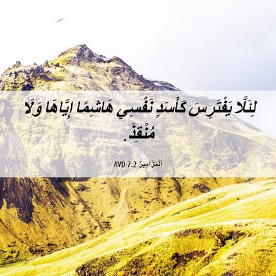 Picture 06 - اَلْمَزَامِيرُ 7:2 AVD - لِئَلَّا يَفْتَرِسَ - Bible Verse Picture