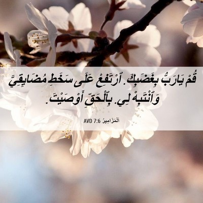 Picture 06 - اَلْمَزَامِيرُ 7:6 AVD - قُمْ يَارَبُّ بِغَضَبِكَ. - Bible Verse Picture