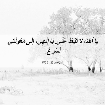 Picture 06 - اَلْمَزَامِيرُ 71:12 AVD - يَا ٱللهُ، لَا تَبْعُدْ - Bible Verse Picture