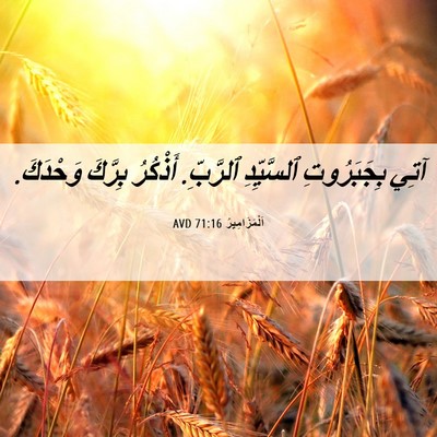 Picture 06 - اَلْمَزَامِيرُ 71:16 AVD - آتِي بِجَبَرُوتِ - Bible Verse Picture