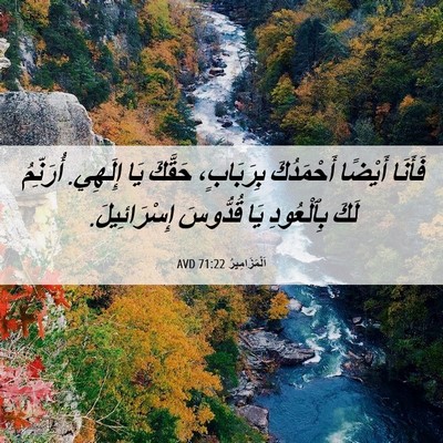 Picture 06 - اَلْمَزَامِيرُ 71:22 AVD - فَأَنَا أَيْضًا - Bible Verse Picture