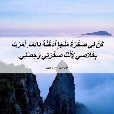 Picture 06 - اَلْمَزَامِيرُ 71:3 AVD - كُنْ لِي صَخْرَةَ مَلْجَإٍ - Bible Verse Picture