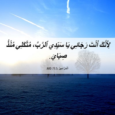 Picture 06 - اَلْمَزَامِيرُ 71:5 AVD - لِأَنَّكَ أَنْتَ رَجَائِي - Bible Verse Picture