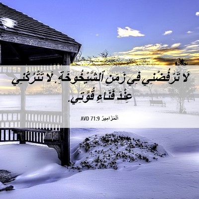 Picture 06 - اَلْمَزَامِيرُ 71:9 AVD - لَا تَرْفُضْنِي فِي زَمَنِ - Bible Verse Picture