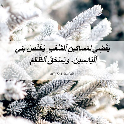 Picture 06 - اَلْمَزَامِيرُ 72:4 AVD - يَقْضِي لِمَسَاكِينِ - Bible Verse Picture