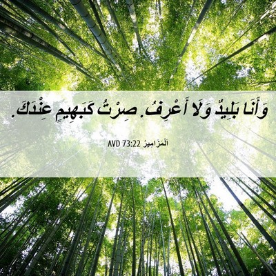 Picture 06 - اَلْمَزَامِيرُ 73:22 AVD - وَأَنَا بَلِيدٌ وَلَا - Bible Verse Picture
