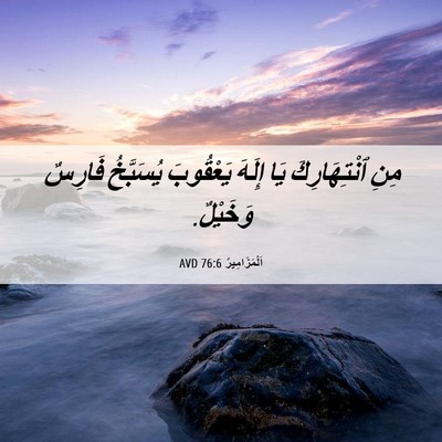 Picture 06 - اَلْمَزَامِيرُ 76:6 AVD - مِنِ ٱنْتِهَارِكَ يَا - Bible Verse Picture