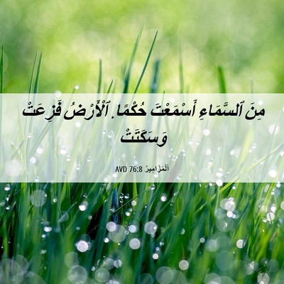 Picture 06 - اَلْمَزَامِيرُ 76:8 AVD - مِنَ ٱلسَّمَاءِ - Bible Verse Picture