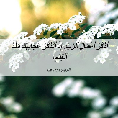 Picture 06 - اَلْمَزَامِيرُ 77:11 AVD - أَذْكُرُ أَعْمَالَ - Bible Verse Picture
