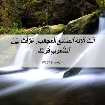 Picture 06 - اَلْمَزَامِيرُ 77:14 AVD - أَنْتَ ٱلْإِلَهُ - Bible Verse Picture