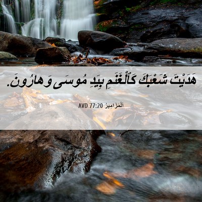 Picture 06 - اَلْمَزَامِيرُ 77:20 AVD - هَدَيْتَ شَعْبَكَ - Bible Verse Picture