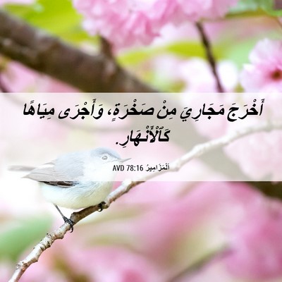 Picture 06 - اَلْمَزَامِيرُ 78:16 AVD - أَخْرَجَ مَجَارِيَ مِنْ - Bible Verse Picture
