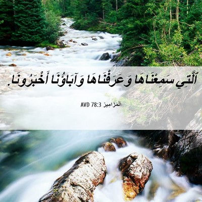 Picture 06 - اَلْمَزَامِيرُ 78:3 AVD - ٱلَّتِي سَمِعْنَاهَا - Bible Verse Picture