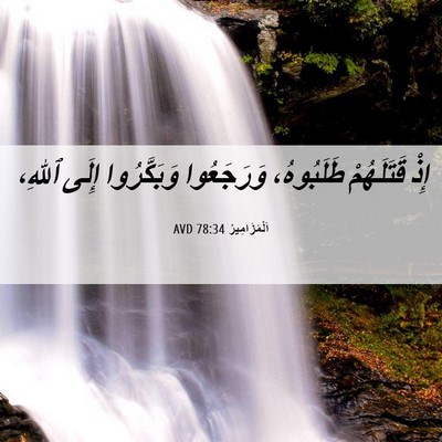 Picture 06 - اَلْمَزَامِيرُ 78:34 AVD - إِذْ قَتَلَهُمْ - Bible Verse Picture