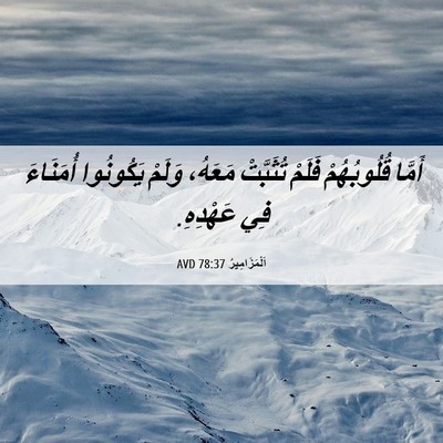 Picture 06 - اَلْمَزَامِيرُ 78:37 AVD - أَمَّا قُلُوبُهُمْ فَلَمْ - Bible Verse Picture