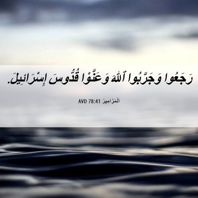Picture 06 - اَلْمَزَامِيرُ 78:41 AVD - رَجَعُوا وَجَرَّبُوا - Bible Verse Picture
