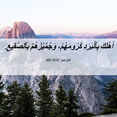 Picture 06 - اَلْمَزَامِيرُ 78:47 AVD - أَهْلَكَ بِٱلْبَرَدِ - Bible Verse Picture