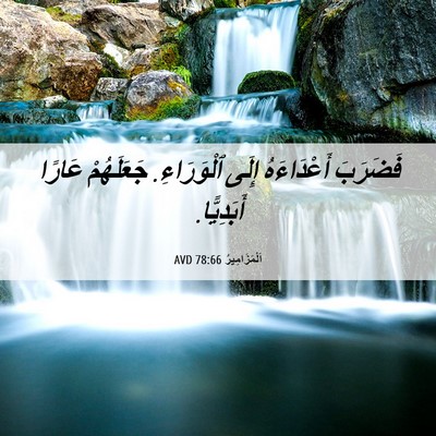 Picture 06 - اَلْمَزَامِيرُ 78:66 AVD - فَضَرَبَ أَعْدَاءَهُ - Bible Verse Picture